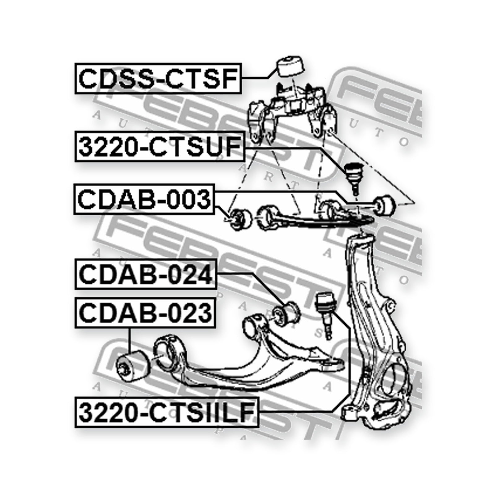 Front Lower Bushing, Control Arm