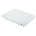 SAKURA Air Filter Fits A1839 WA5300 WA10058 C25654 MR968274 1500A513