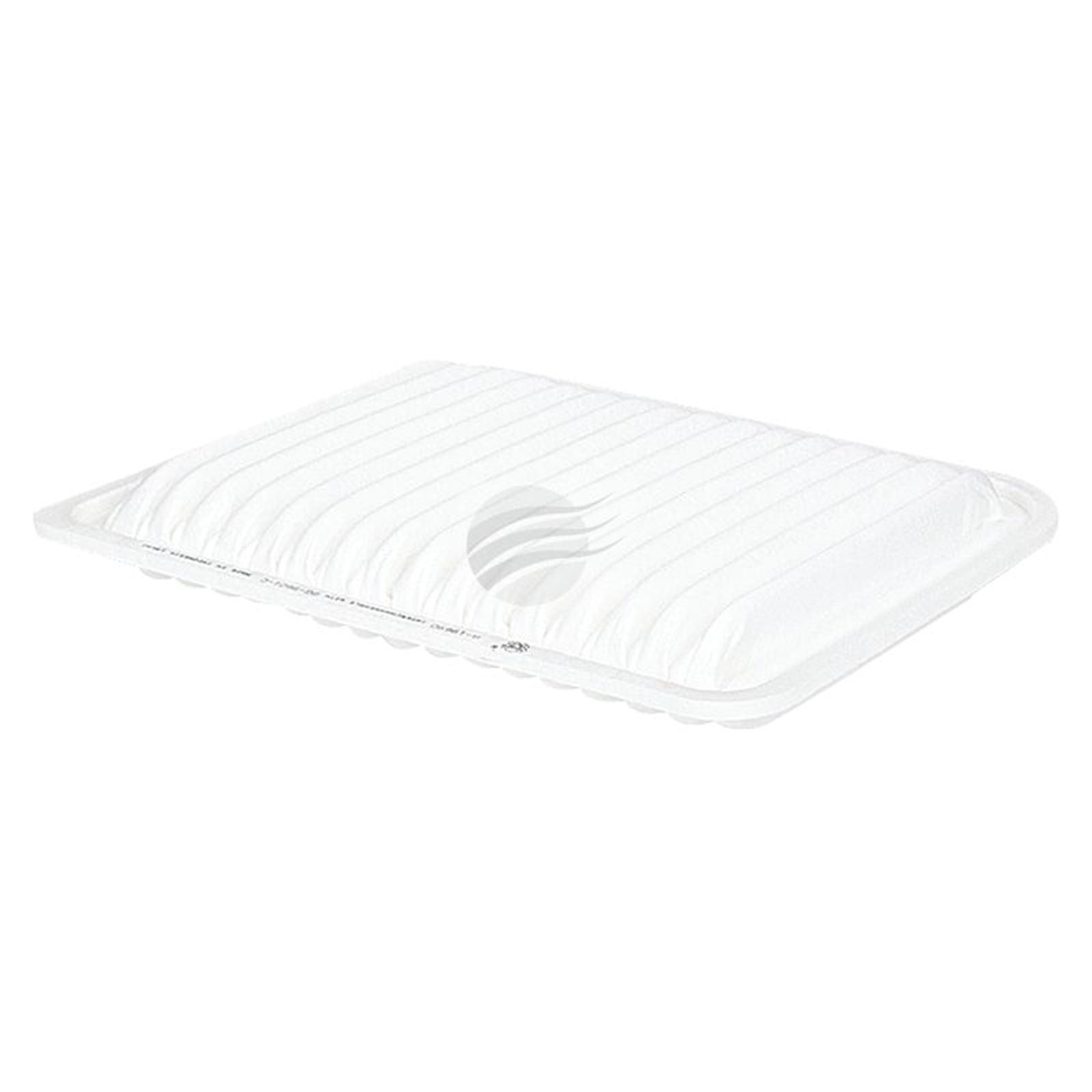 SAKURA Air Filter Fits A1582 WA5137 A-19690 BG-9601-C
