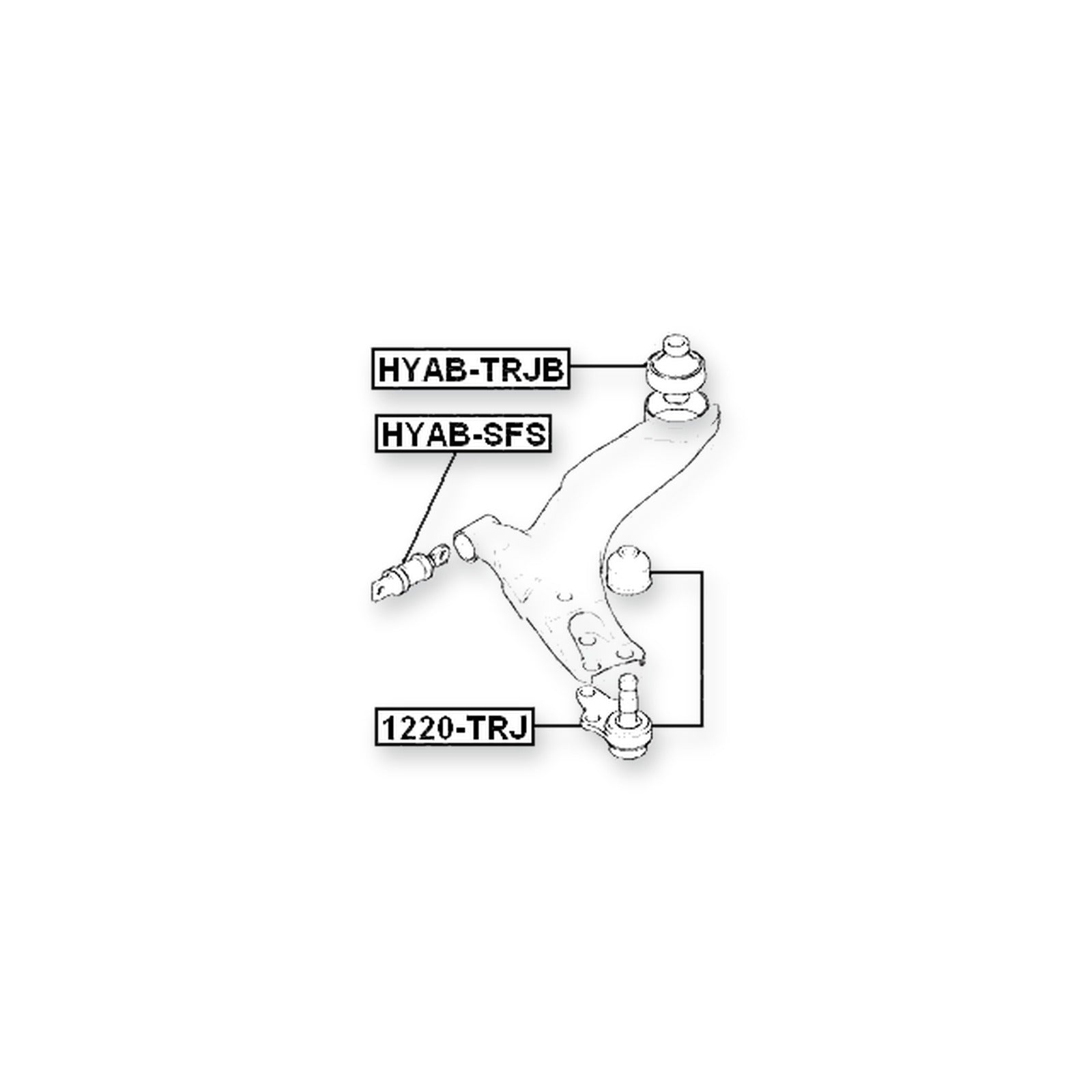 Hyundai Trajet Front Lower Bushing, Control Arm 2006-on