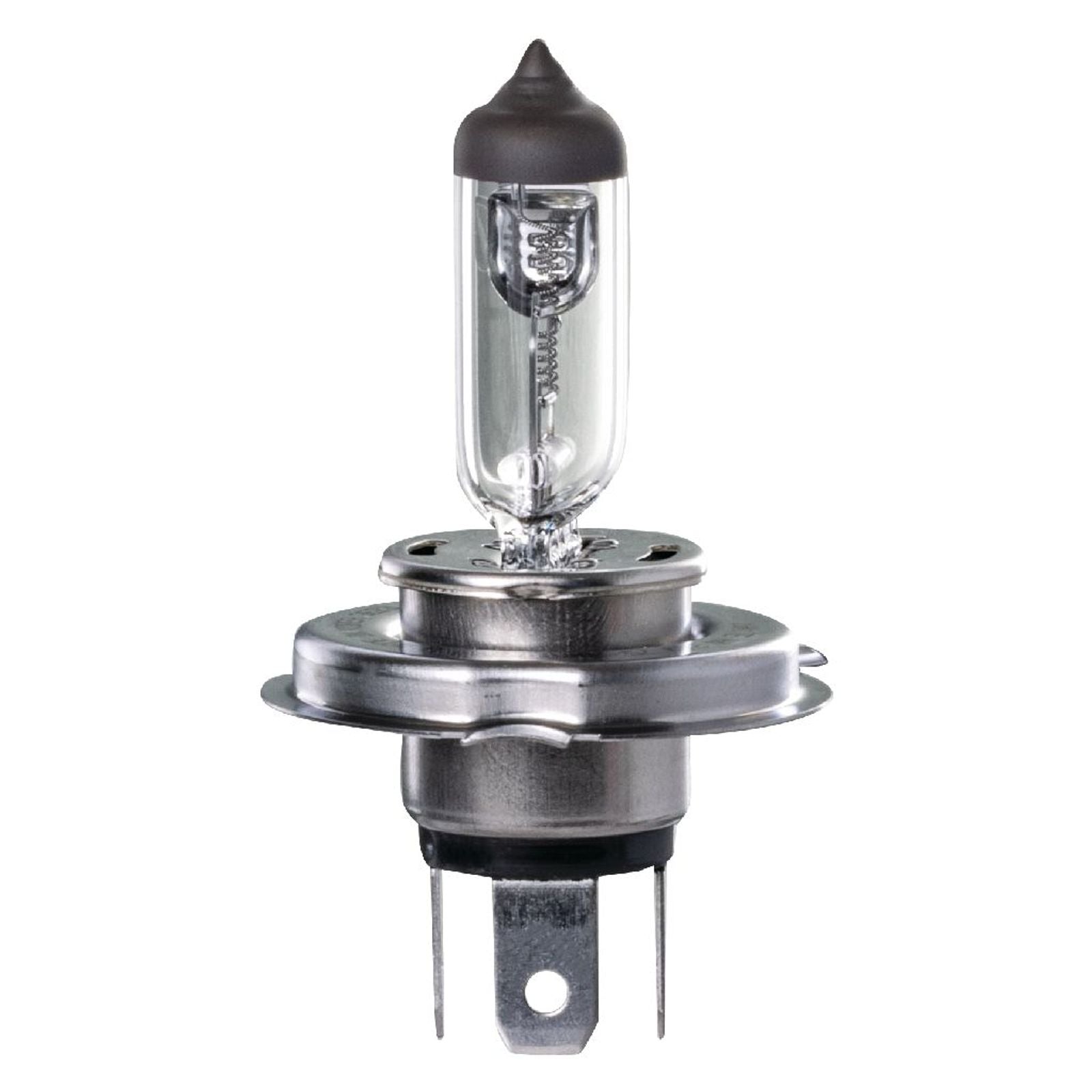 H4 Halogen Globe 24V 75/70W P43T-38 Base Box Ignite