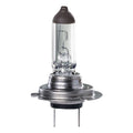 H7 Halogen Globe 12V 55W PX26D Base Long Life Box Ignite