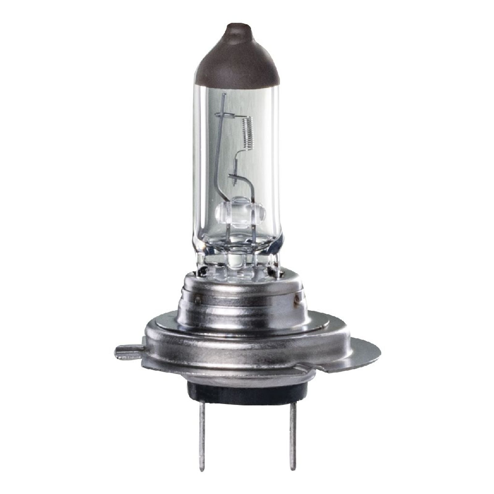 H7 Halogen Globe 12V 55W PX26D Base Long Life Box Ignite
