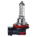 H16 Halogen Globe 12V 19W PGJ19-3 Long Life Blister Pack Ignite