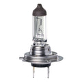 H7 Halogen Globe 24V 70W PX26D Box Ignite