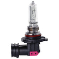 HB3 Halogen Globe 12V 60W P20D Long Life Box Ignite