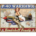Nostalgia Signs P-40 Warhawk Metal Sign Reproduction 41cm x 32cm