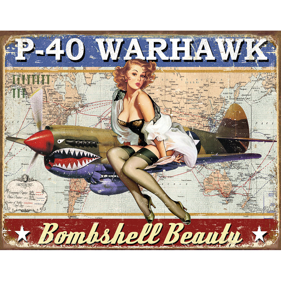Nostalgia Signs P-40 Warhawk Metal Sign Reproduction 41cm x 32cm