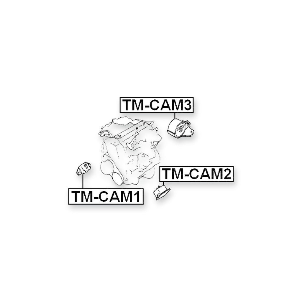 Toyota Cami Rear Engine Mount (Hydro)